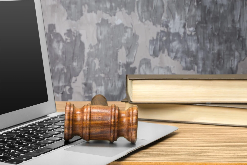 Online Reputation Protection Through Court-Ordered Removal Online Reputation Protection Through Court-Ordered Removal